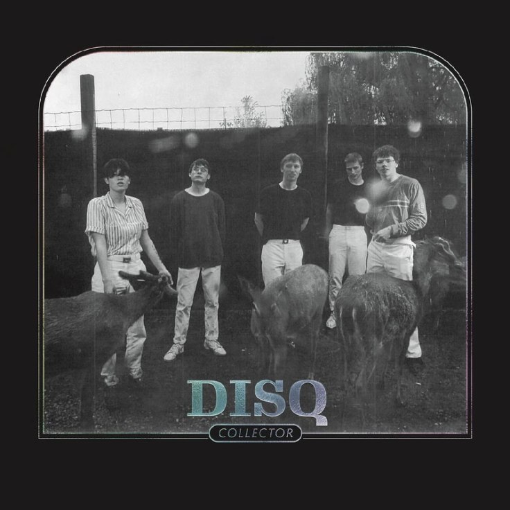 DISQ – Collector (6 mars 2020)