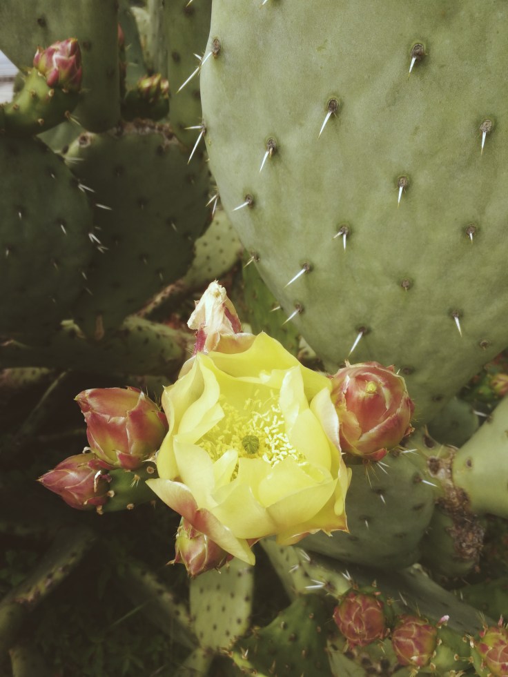 Processed with VSCO with m3 preset