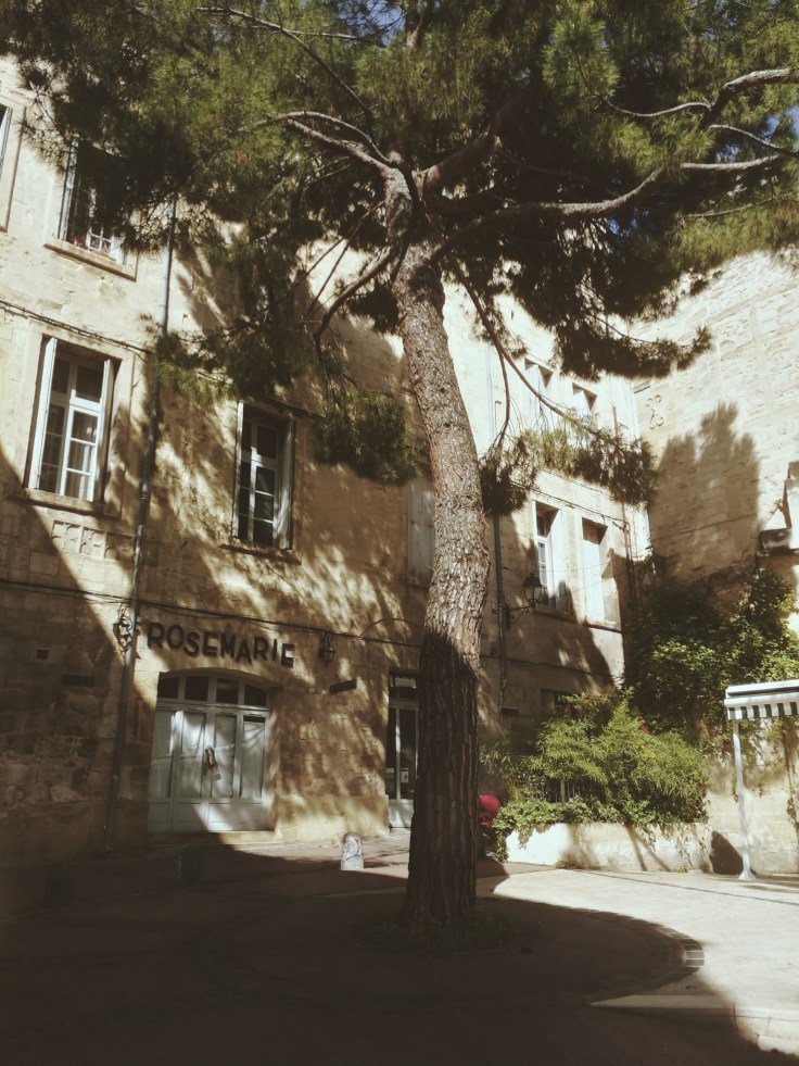 Processed with VSCO with m3 preset