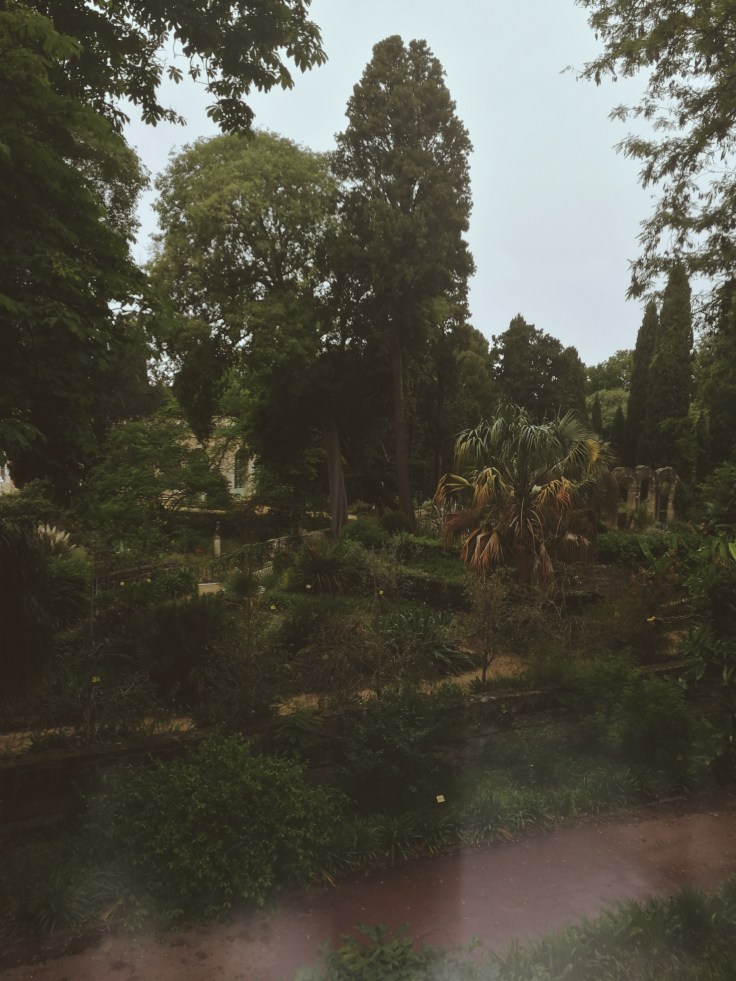 Processed with VSCO with m3 preset