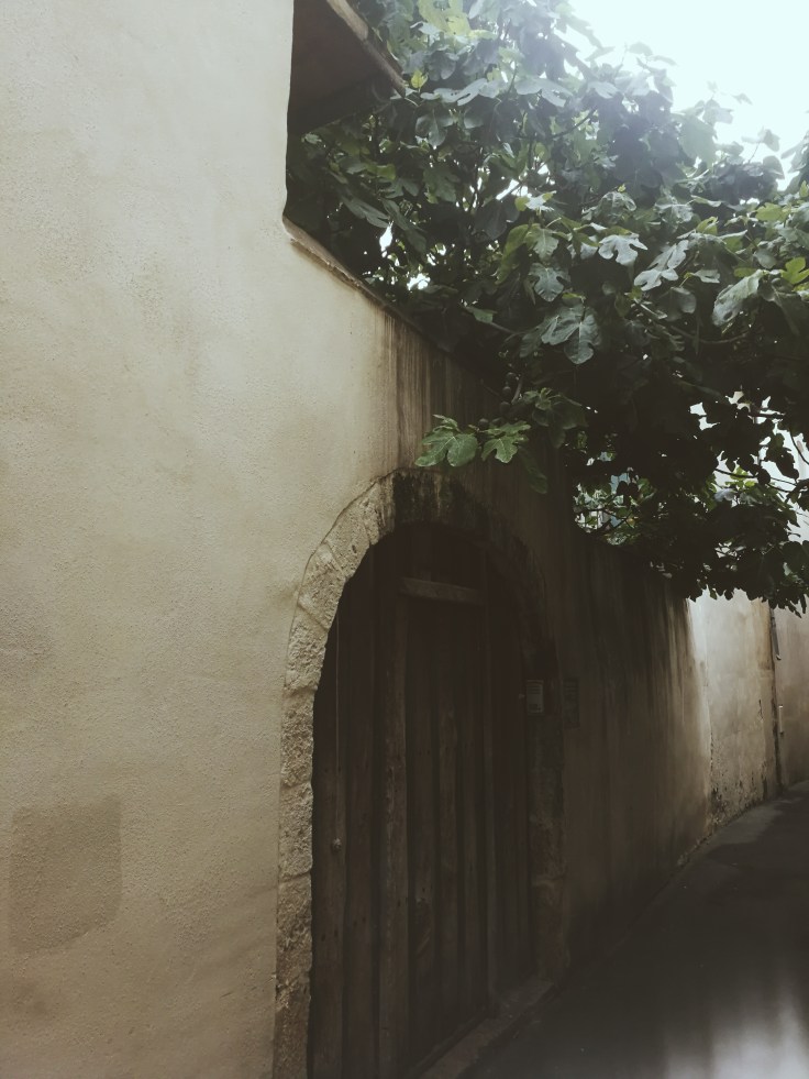 Processed with VSCO with m3 preset