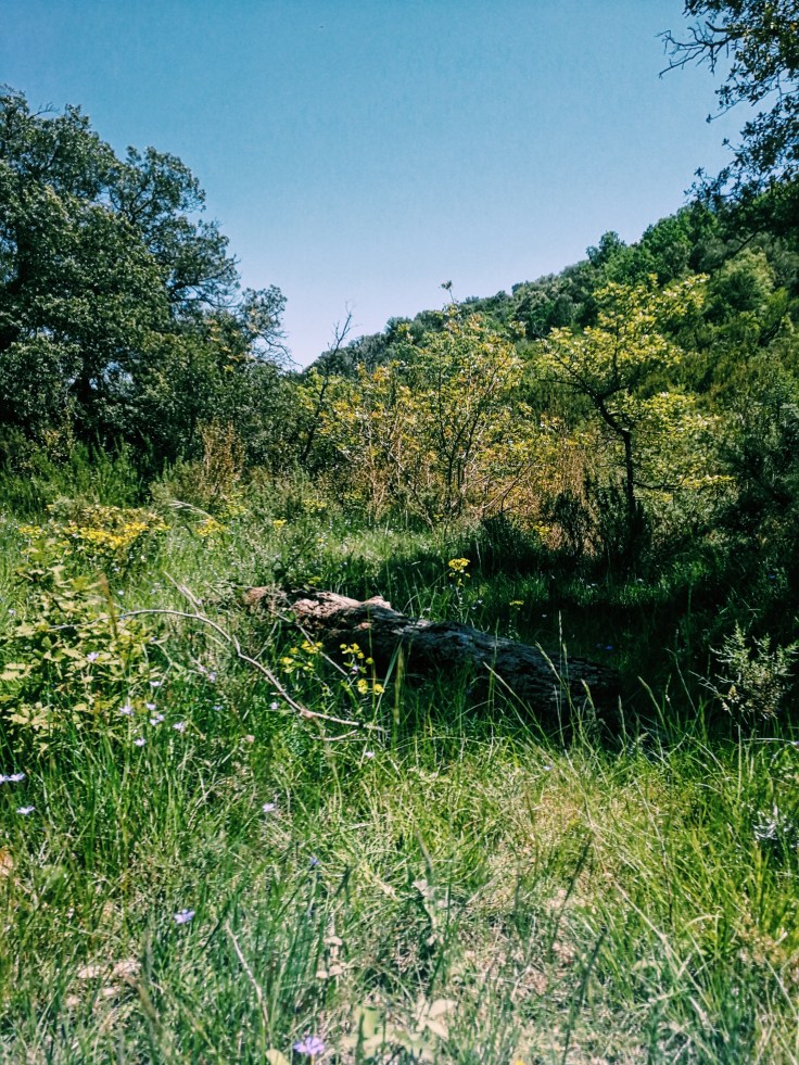 Processed with VSCO with c1 preset