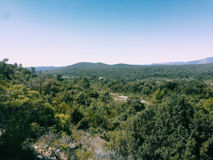 Processed with VSCO with c1 preset