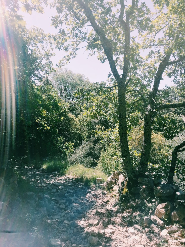 Processed with VSCO with c1 preset