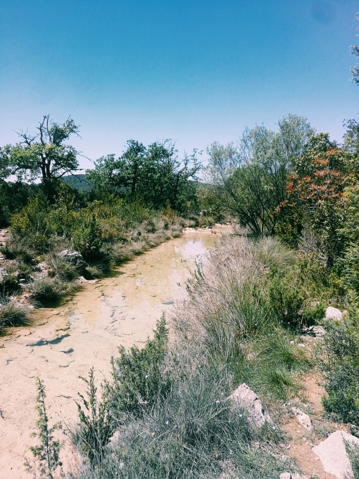 Processed with VSCO with c1 preset