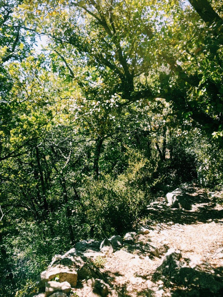 Processed with VSCO with c1 preset