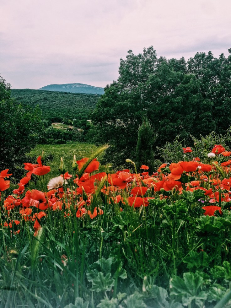 Processed with VSCO with c1 preset