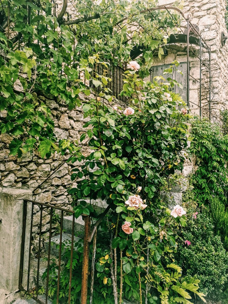 Processed with VSCO with c1 preset